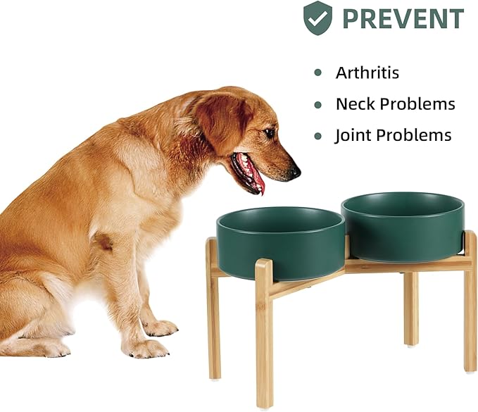 Ceramic Raised Double Bowls Set with Stand, Food & Water Bowls for Large Breed Dogs, Weighted Dog Dishes, Pet Bowl(8.2'',60OZ, Green)