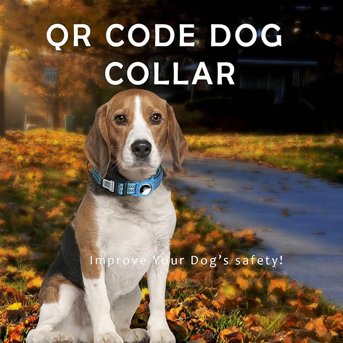 Reflective Dog Collar with Apple AirTag Holder & QR Code Pet ID Tag,Soft Nylon Adjustable Dog Tracker Collar with Safety Lock for Small Dogs (Blue, S)