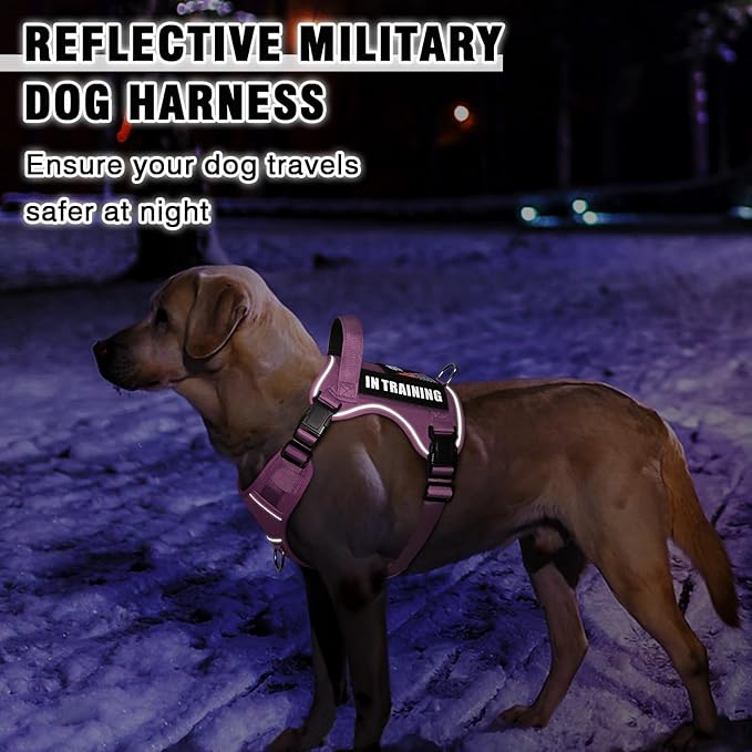 WINSEE Service Dog in Training Harness with 5 PCS Patches, Reflective Tactical Dog Vest Harness, Adjustable Soft Oxford Pet Harness with Easy Control Handle, Hook & Loop Panels for Walking Hiking