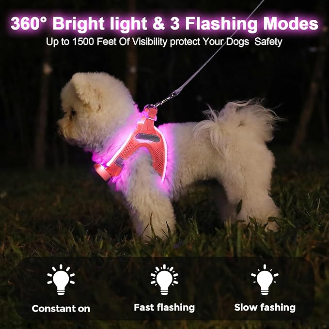 Light Up Dog Harness,Rechargeable LED Dog Harness for Small Medium Large Dogs,Reflective Lighted Safety Vest for Night Walking & Camping,Lightweight & Adjustable,Fluorescent Pink,M