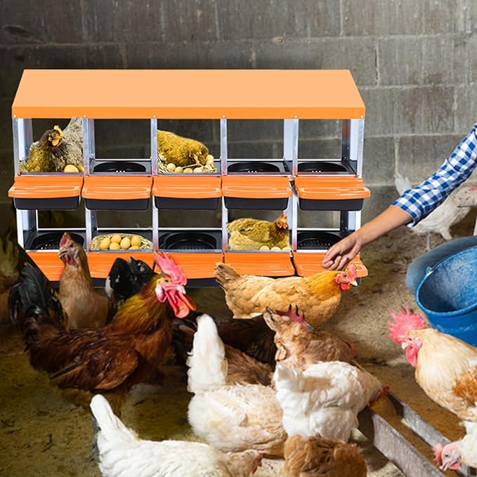 Chicken Nesting Boxes, 10 Hole Metal Chicken Laying Box with with Removable Trays and Roll Out Egg Collection for Chicken Coop, Orange
