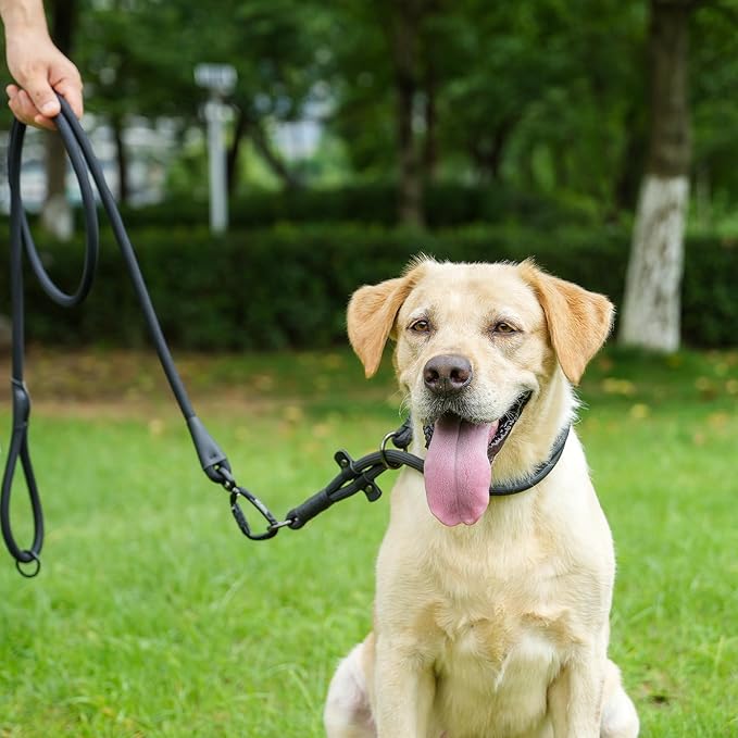 Rope Dog Leash, 4 ft Heavy Duty Dog Leash with Aviation Aluminum Auto Locking Carabiner, Strong Nylon Pet Lead for Small, Medium, Large Dogs (Black, 4FT)
