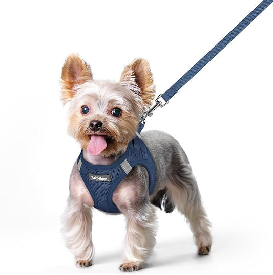 rabbitgoo Dog Harness Small Sized and Leash Set, Step in Soft Light Puppy Vest, Breathable Mesh Pet Harness, Reflective for Safe Outdoor Walking, Navy Blue XS