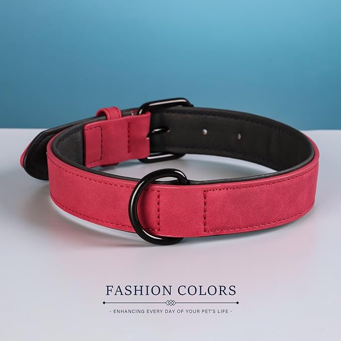 Didog Soft Padded PU Leather Dog Collar, Breathable and Adjustable Red Dog Collars for Small Dogs, Comfortable for Daily Walk, Red, M Fit Neck 12-15"(13-22 lbs)
