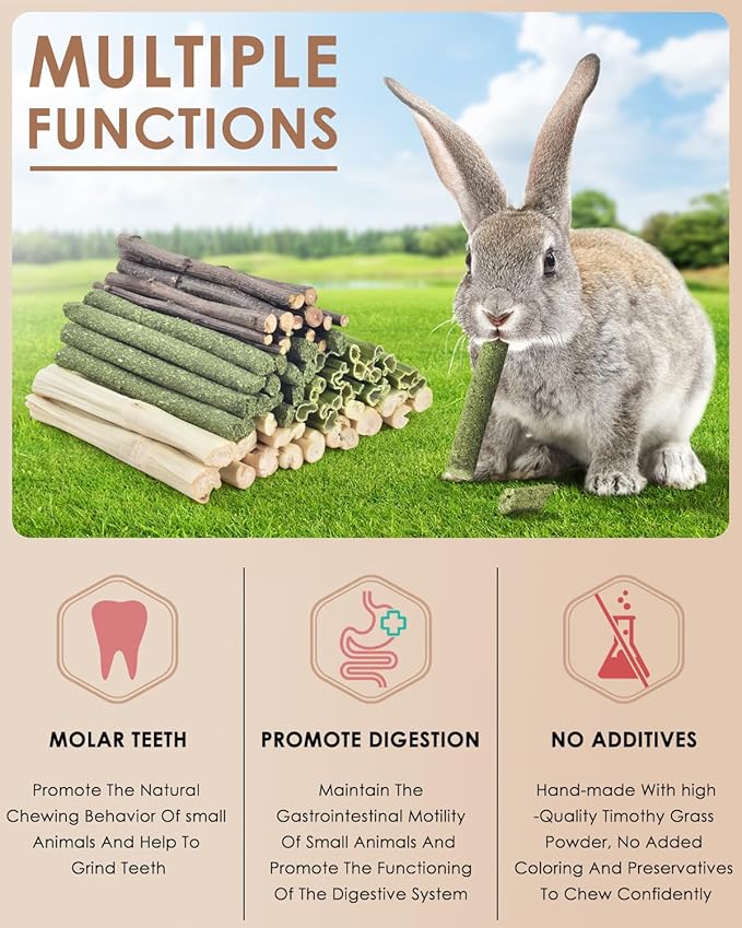 Bissap 60 PCS Rabbit Chew Sticks, Sweet Bamboo Timothy Hay Chew Stick Papaya Stems Apple Branch Bunny Chews for Rabbit Hamster Chinchilla Guinea Pig Small Pet Natural Molar Treats