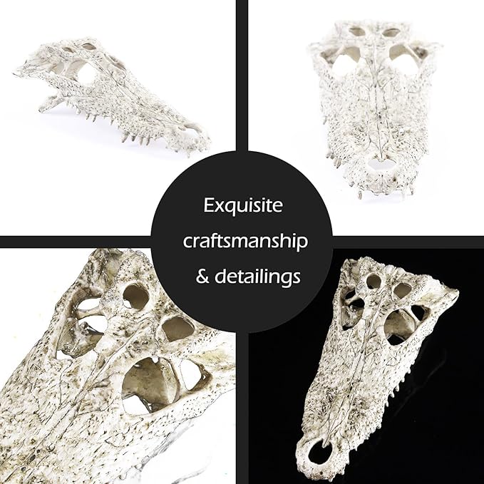 Animal Skull Fish Aquarium Hideout Decorations Cave Dinosaur Reptile Ornament Halloween Décor for Terrarium Large Betta Decor Bones