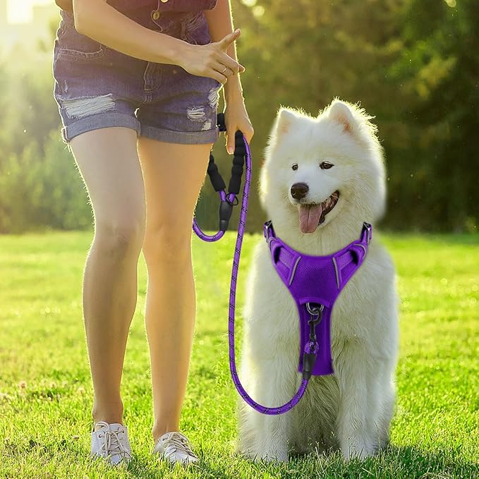 BARKBAY Dog Harness No Pull with ID Tag Pocket - Heavy Duty, Reflective, Easy Control for Large Dogs(Purple,XL)