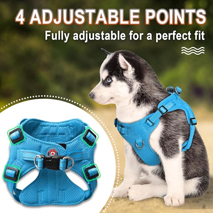 BARKBAY Dog Harness, Reflective Adjustable Puppy No Pull Harness, Breathable Soft, Blue, XXS