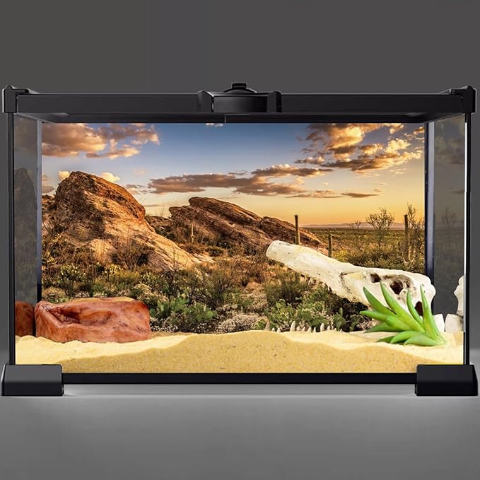AWERT Reptile Habitat Background Blue Sky Oasis Cactus Sun and Desert Terrarium Background 48x18 inches Durable Polyester Background