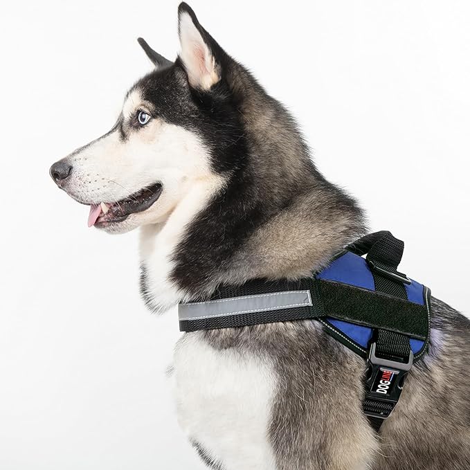 Dogline Dog Harness, Reflective No-Pull Adjustable Vest with Handle for Walking, Training, Breathable, No - Choke Harness for Small, Medium or Large Dogs Room for Patches Girth 33"-46" in Cyan Blue