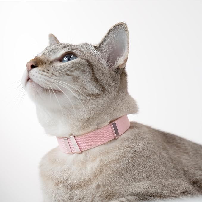 Safety Cat Collar - U.S. IDA Gold Awarding Design, Stretch Elastic Quick Release, Non Breakaway - Light Weight for Kitten, Neck Fit 5.9'-11.8' for All Small Large Cat,S(Midnight Black)