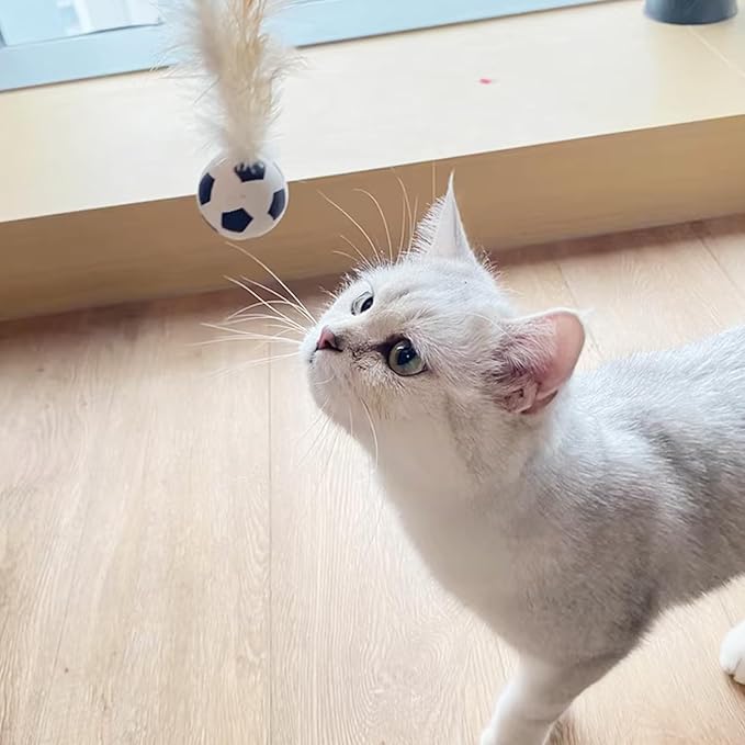 Cat Toy Balls, 5 PCS Colorful Feather Bouncy Balls for Cats No Noise Interactive Kitten Toys Cat Exercise Ball, Safe for Your Kitty (B)