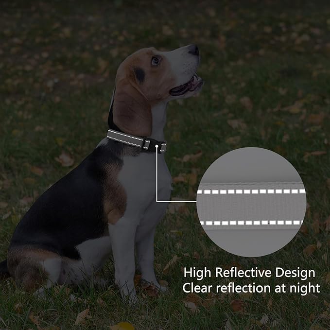 Reflective Dog Collar Padded with Soft Neoprene Breathable Quick Release Basic Dog Collars for Puppy Small Dogs Girl Boy Xs Silver