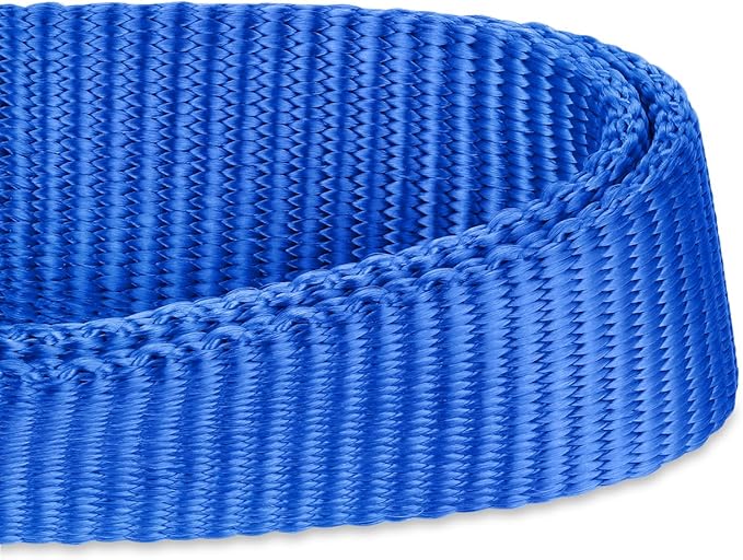 Hyhug Pets Solid Color Classic Regular Heavy Duty Basic Collar for Pup Dogs, Unique Design Adjustment Triglide Slide (Buckle) Can Attached Name Tag Accessories. (Small, Bright Blue)
