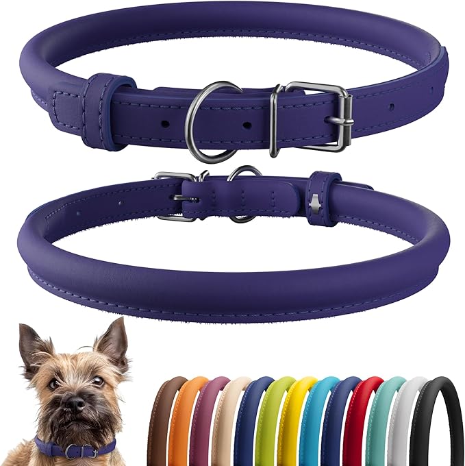 CollarDirect Rolled Leather Dog Collar, Soft Padded Round Puppy Collar, Handmade Genuine Leather Collar Dog Small Large Cat Collars 13 Colors (8-11 Inch, Purple Smooth)