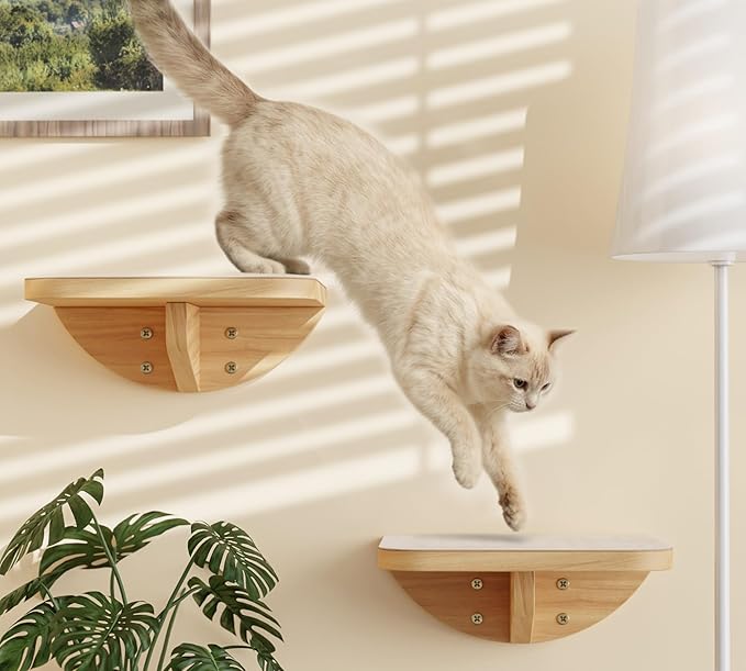 Cat Window Perches, Curved Cat Wall Beige Bed and 2 Floating Wall Steps, Wall Mounted Climbing Shelves for Sleeping, Playing, and Lounging