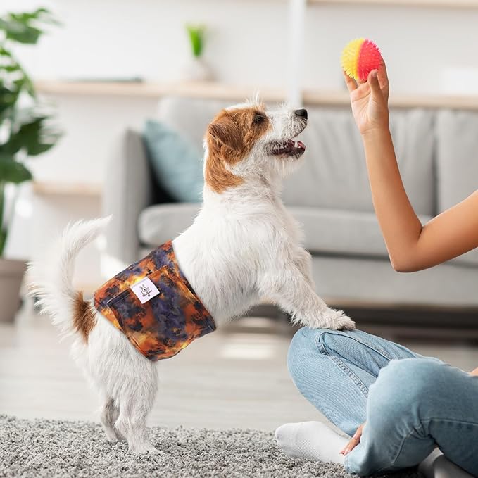 CuteBone Dog Diapers Male Washable Belly Band for Male Dogs Wraps Black 3pcs a Pack DM56M