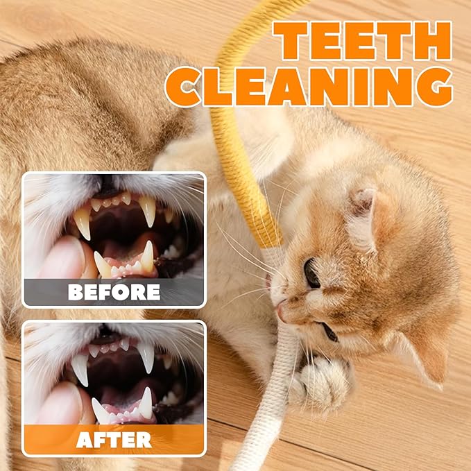 Cat Chew Ropes 3 Pack with Natural Catnip, Interactive Catnip Toys for Indoor Cats, Safe Teeth Cleaning Kitten Rope Toy, Durable Cat Kicker Chew Toy for All Breeds