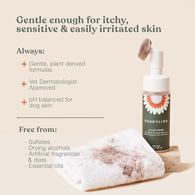 Dandylion Clean Paws Value Set – No‑Rinse Foaming Paw Cleaner with Built‑in Brush + 10 fl oz Refill