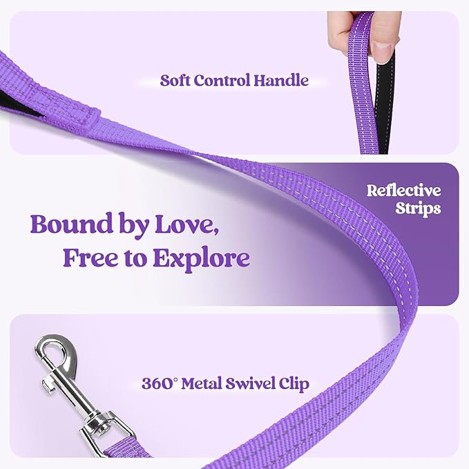 rabbitgoo Dog Harness Small Sized and Leash Set, Step in Soft Light Puppy Vest, Breathable Mesh Pet Harness, Reflective for Safe Outdoor Walking, Purple S