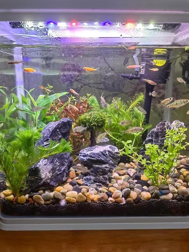 Aquarium Rocks Seiryu Stones Natural Hardscape Stone for Aquariums, Fish Tanks, Bonsai, Terrariums, Wargaming Dioramas, Indoor or Outdoor Gardens-5Lb(2-6 Inch)