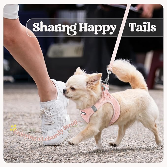 rabbitgoo Dog Harness Small Sized and Leash Set, Step in Soft Light Puppy Vest, Breathable Mesh Pet Harness, Reflective for Safe Outdoor Walking, Pink S