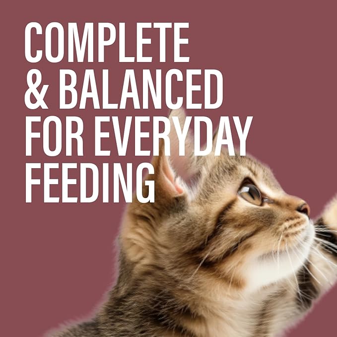 Chewer's Joy Wet Cat Food Variety Pack – 3 Flavors: Tuna & Salmon, Chicken & Turkey – Natural Pâté – High Protein – Grain Free – Complete & Balanced Nutrition – 12 Cans (3 oz)