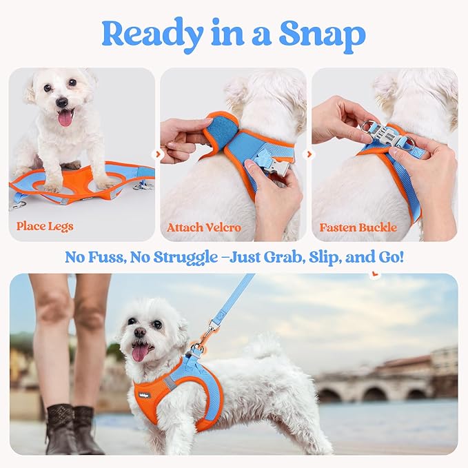 rabbitgoo Dog Harness Small Sized and Leash Set, Step in Soft Light Puppy Vest, Breathable Mesh Pet Harness, Reflective for Safe Easy Walking, Blue & Orange XS