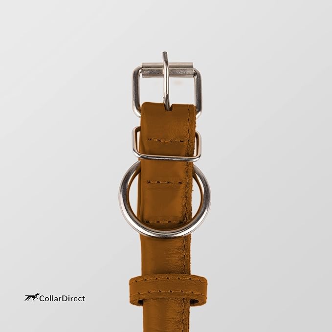 CollarDirect Rolled Leather Dog Collar, Soft Padded Round Puppy Collar, Handmade Genuine Leather Collar Dog Small Large Cat Collars 13 Colors (11-14 Inch, Cinnamon Textured)