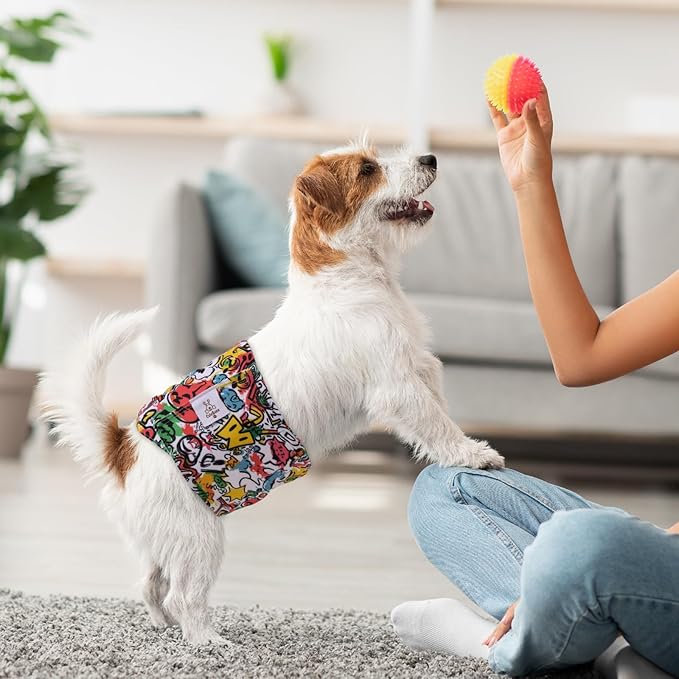 CuteBone Dog Diapers Male Washable Belly Band for Male Dogs Wraps Black 3pcs a Pack DM55L