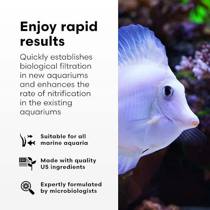 Brightwell Aquatics MicroBacter Start XLM - Concentrated Freshwater Nitrifying Bacteria - Quick Start Fish Tank Starter, Lift Microbe Levels & Water Filtering - Aquarium Water Treatments, 5.28 GAL