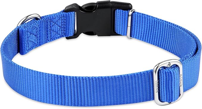 Hyhug Pets Solid Color Classic Regular Heavy Duty Basic Collar for Pup Dogs, Unique Design Adjustment Triglide Slide (Buckle) Can Attached Name Tag Accessories. (Small, Bright Blue)