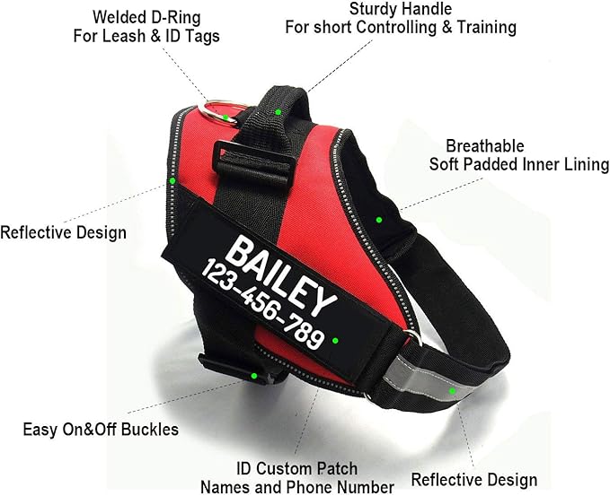 PawPawify Custom No Pull Dog Harness with Name and Phone Number, Heavy Duty Personalized Pet Vest to Prevent Tugging, Pulling, or Choking, Training and Walking (Green, M (20-40 LBS))