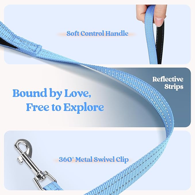 rabbitgoo Dog Harness Small Sized and Leash Set, Step in Soft Light Puppy Vest, Breathable Mesh Pet Harness, Reflective for Safe Easy Walking, Blue & Orange XXS