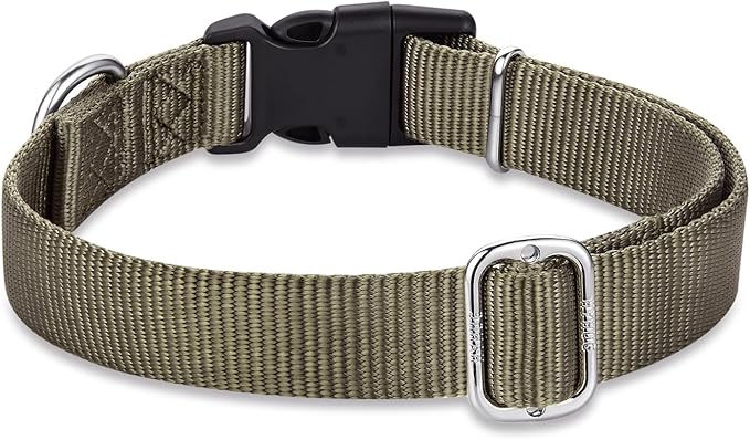 Hyhug Pets Classic Regular Heavy Duty Nylon Dog Basic Collar for Medium Dogs Daily Use Walking Jogging. (Medium, Military Green)