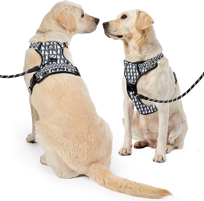 NESTROAD No Pull Dog Harness,Adjustable Oxford Dog Vest Harness with Leash,Reflective No-Choke Pet Harness with Easy Control Soft Handle for Small Dogs(Small,Vintage Blue)