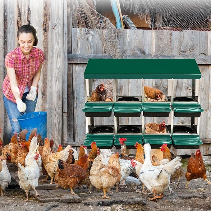 Chicken Nesting Box, 8 Hole 2 Layer Hen Nest Boxes, Nesting Boxes for Chickens, Roll Away Eggs Laying Boxes,Cleanable Pull Out Hen Roosting Boxes
