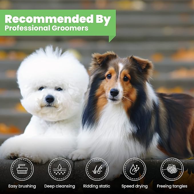 Best Shot Scentament Spa Seasonal Facial & Body Wash, Harvest Apple, 16 oz