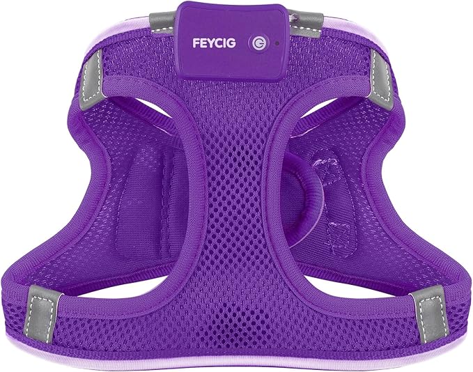 Light Up Dog Harness,Rechargeable LED Dog Harness for Small Medium Large Dogs,Reflective Lighted Safety Vest for Night Walking & Camping,Lightweight & Adjustable,Purple,XS