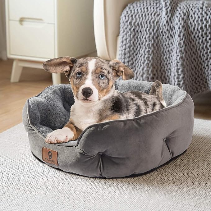 Asvin Small Dog Bed for Small Dogs, Cat Beds for Indoor Cats, Pet Bed for Puppy and Kitty, Extra Soft & Machine Washable with Anti-Slip & Water-Resistant Oxford Bottom, Grey, 20 inches