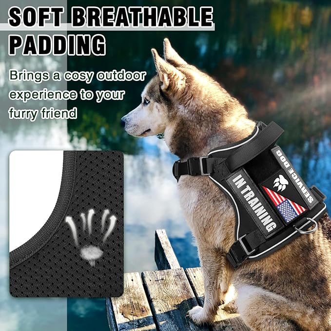 WINSEE Service Dog in Training Harness with 5 PCS Patches, Reflective Tactical Dog Vest Harness, Adjustable Soft Oxford Pet Harness with Easy Control Handle, Hook & Loop Panels for Walking Hiking