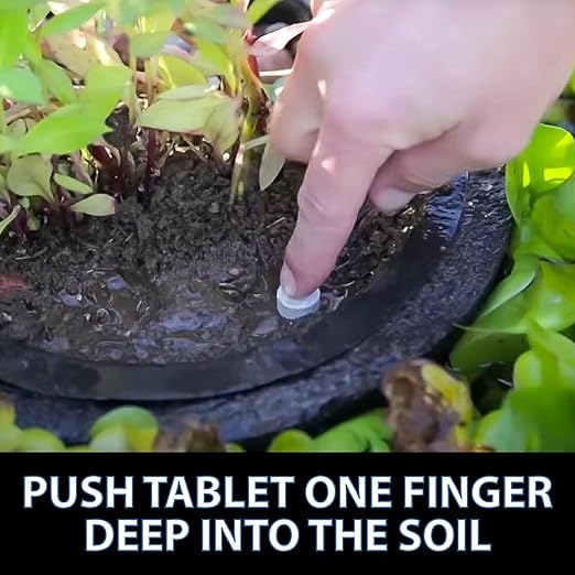 CrystalClear Thrive Aquatic Pond Plant Food, Fish Safe Water Garden Fertilizer, Nutrients Boost Lily & Lotus Flower Bloom & Root Growth, 30 Tablets