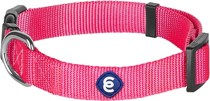 Blueberry Pet X-Small Dog Collar | Dog Collars for Small Dogs | Hot Pink Durable Quick Release Collar | Eco-Friendly French Pink Collar for Female Puppies | Safe Nylon Pet Collar
