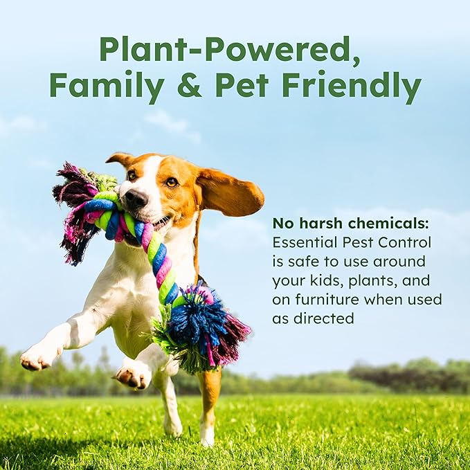 BugMD Ant Killer & Bug Spray Concentrate - Indoor Cockroach and Roach Killer, Spider Spray for Home, Fly and Insect Defense, Essential Oils, Plant-Powered, Eco-Friendly Pest Control - 3.7 Oz