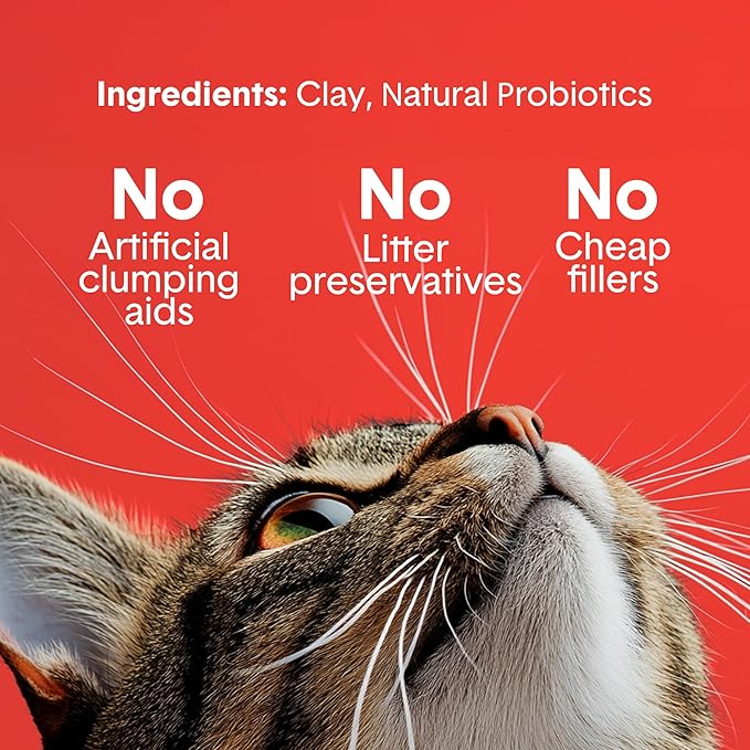 Boxie® Extra Strength 35 Day Odour Control Clumping Clay Cat & Kitty Litter 40lb, 99.9% Dust-Free, Probiotic Formula, Long-Lasting, Veterinarian Approved, Easy Scooping for Multi-Cat Homes