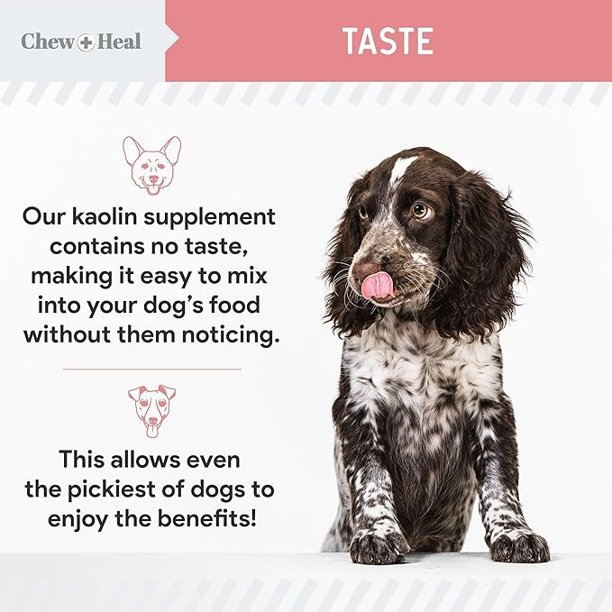 Chew + Heal Labs Anti Diarrhea for Dogs - 12 oz. of Stop The Diarrhea Liquid Supplement with Kaolin for Upset Stomach Relief - Made in The USA