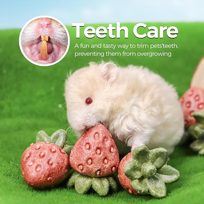 TEEWY 4PCS Hamster Chew Toys, Guinea Pig Chew Toys for Teeth with Natural Vegetables and Timothy Grass, Chinchilla Toys,Dental Care for Rats/Guinea Pigs/Hamsters and Gerbil, Strawberry-Shape