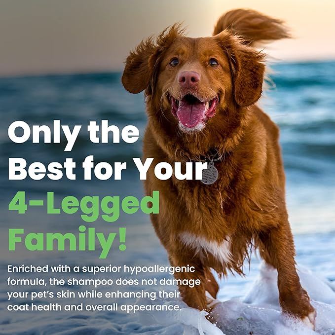 Best Shot Scentament Spa Seasonal Facial & Body Wash, Harvest Apple, 16 oz