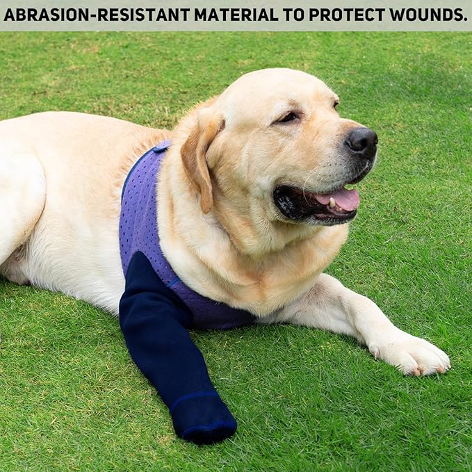 COODEO Dog Socks to Prevent Licking Paws, Healing Boots & Paw Protectors with Non-Slip Bottoms for Wound Protection, Waterproof Sleeve Shoes for Licking（Purple，XL_Left