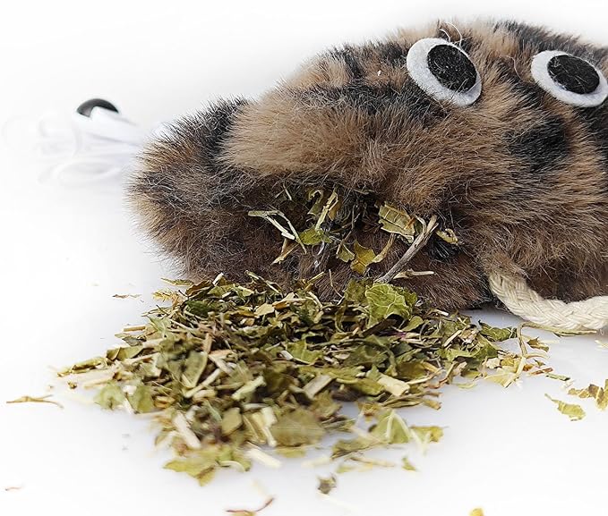 Cat Toys for Indoor Cats,Interactive Door Hanging Cat Toys Attached with Catnip/Feathers/Birds/Mouse Toys for Cats/Kitten Toys(3 Pack)